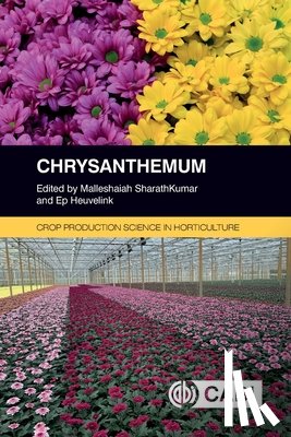  - Chrysanthemum
