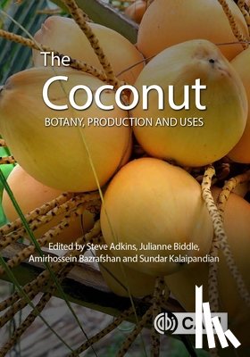  - The Coconut