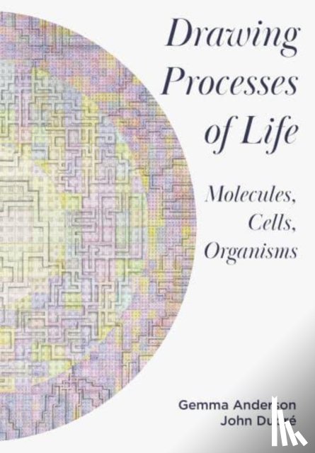 Anderson-Tempini, Gemma, Dupre, John - Drawing Processes of Life