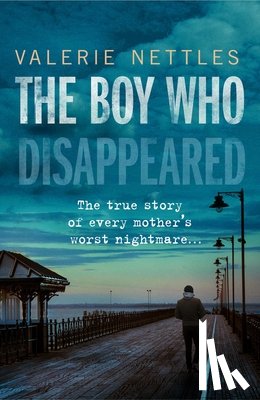 Nettles, Valerie - The Boy Who Disappeared