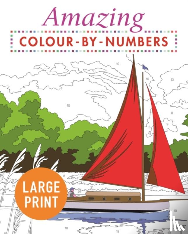 Arcturus Publishing Limited - Amazing Colour-by-Numbers Large Print