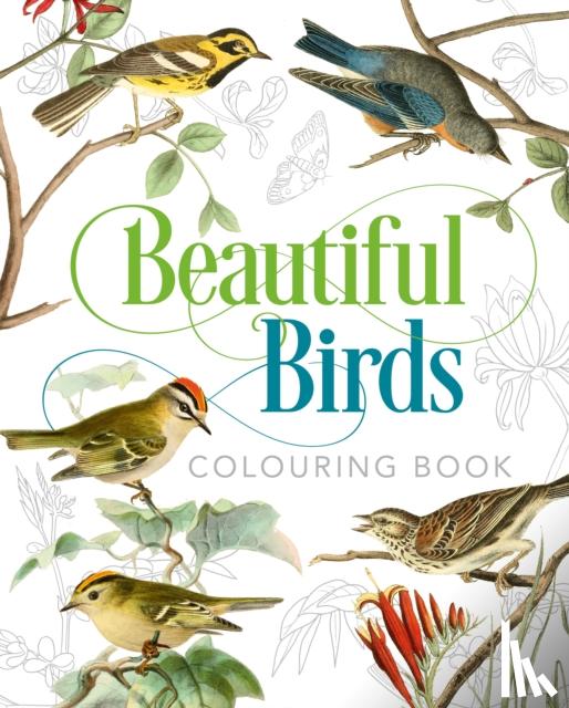 Gray, Peter - Beautiful Birds Colouring Book