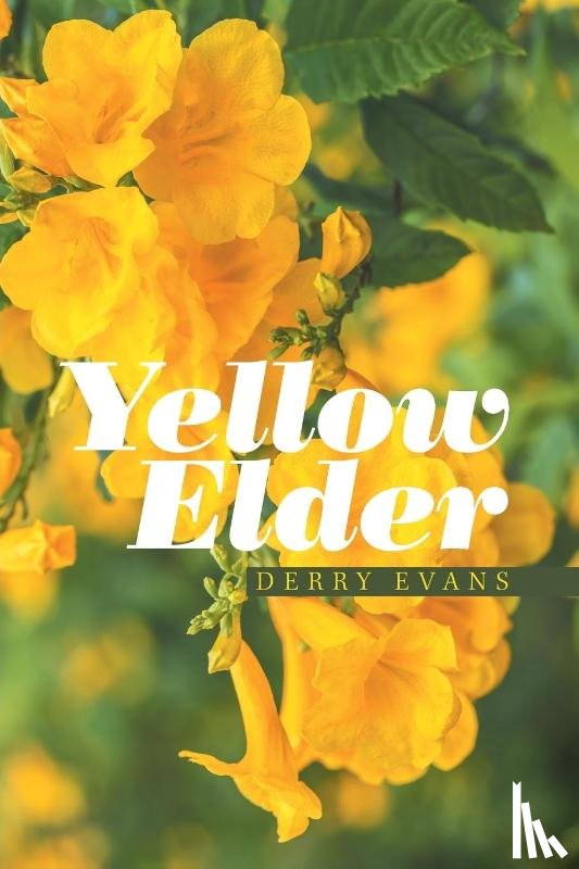 Evans, Derry - Yellow Elder
