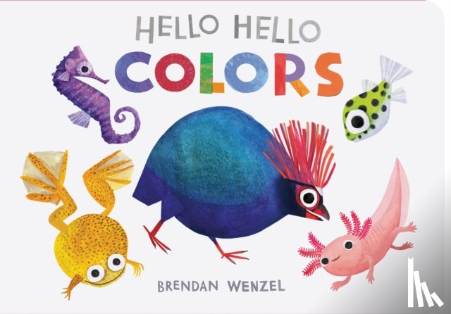  - Hello Hello Colors