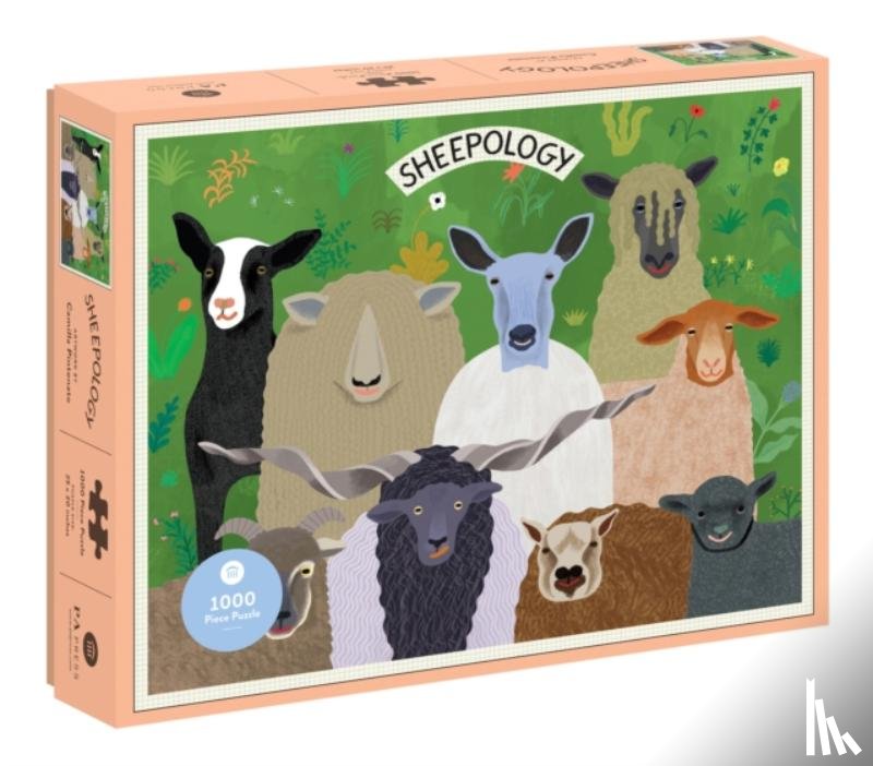 Pintonato, Camilla - Sheepology 1000 Piece Puzzle