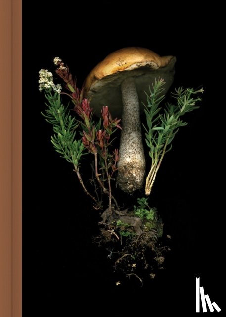 Hajnoczky, Julya - Deep Dark Forest Mushroom Journal