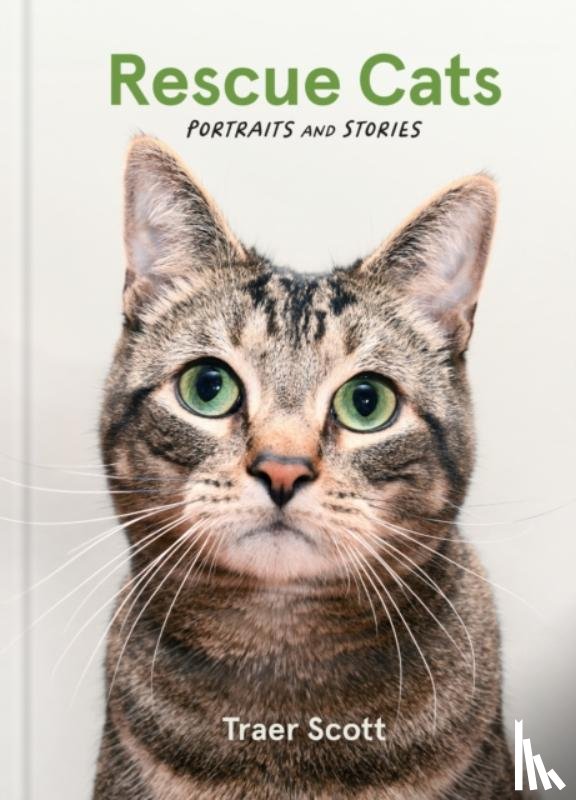 Scott, Traer - Rescue Cats