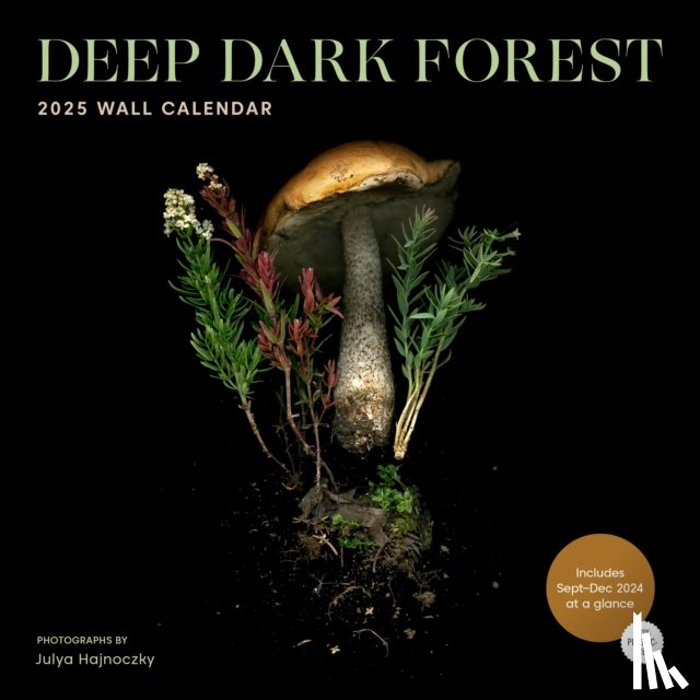 Hajnoczky, Julya - Deep Dark Forest 2025 Wall Calendar