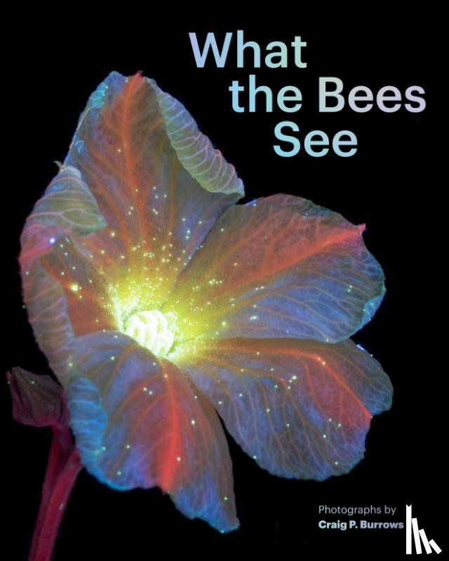 Burrows, Craig P. - What the Bees See