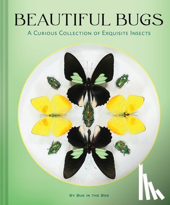 Bug in the Box - Beautiful Bugs