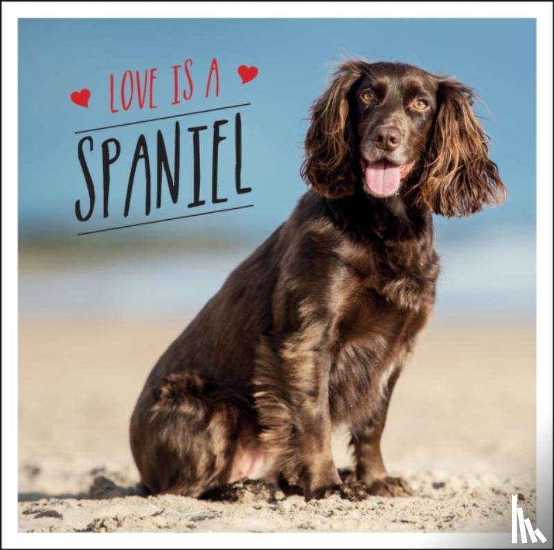 Ellis, Charlie - Love is a Spaniel