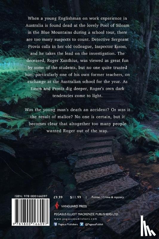 Goddard, John - The Pool of Siloam