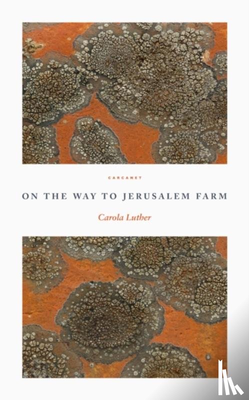 Luther, Carola - On the Way to Jerusalem Farm