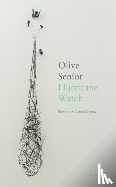 Senior, Olive - Hurricane Watch