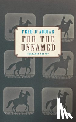 D'Aguiar, Fred - For the Unnamed