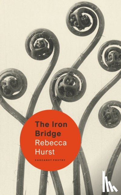 Hurst, Rebecca - The Iron Bridge