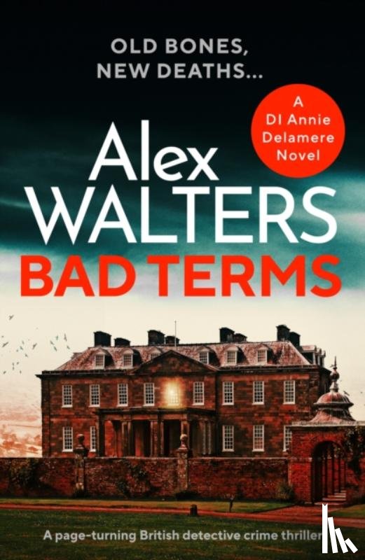 Walters, Alex - Bad Terms