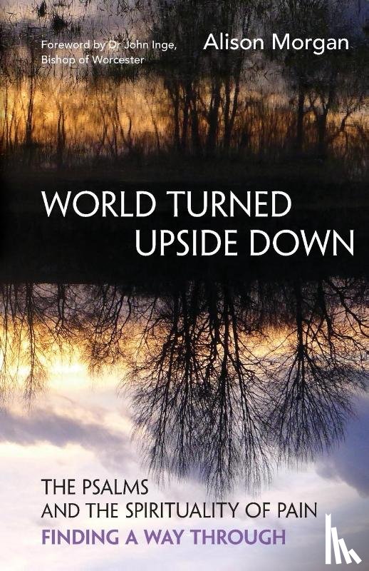 Morgan, Alison - World Turned Upside Down