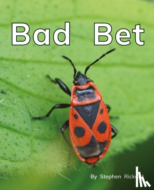  - Bad Bet
