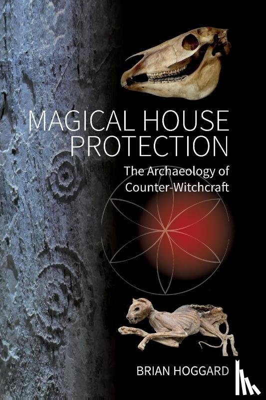 Hoggard, Brian - Magical House Protection