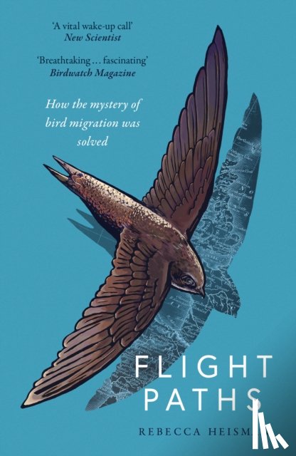 Heisman, Rebecca - Flight Paths
