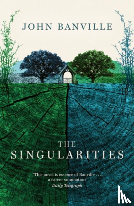 Banville, John - The Singularities