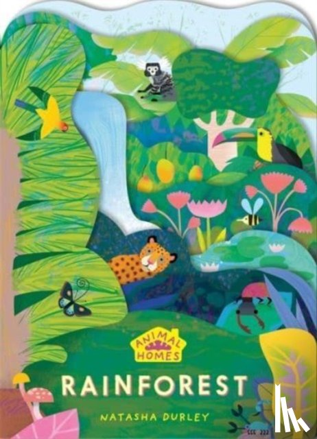  - Animal Homes: Rainforest