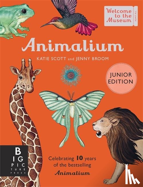 Broom, Jenny - Animalium (Junior Edition)