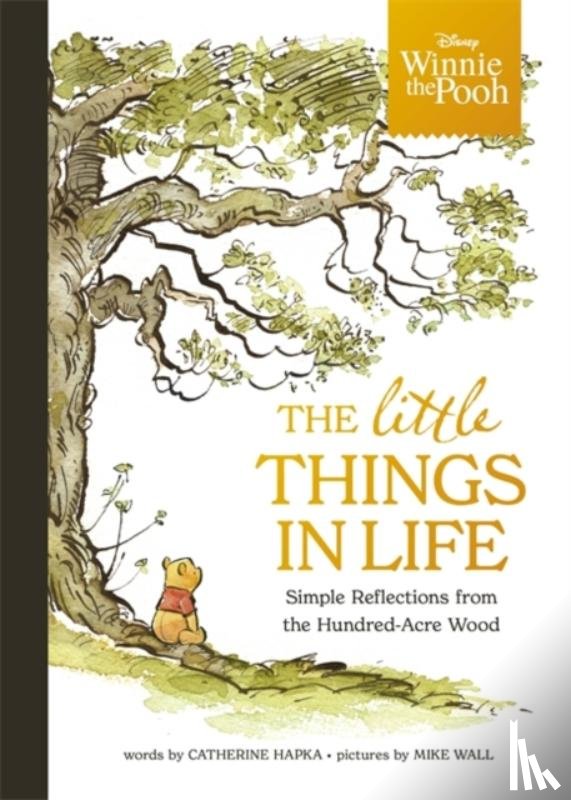 Walt Disney - Disney Winnie the Pooh - The Little Things in Life