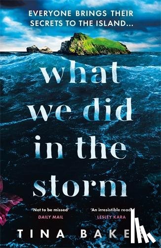 Baker, Tina - What We Did In The Storm
