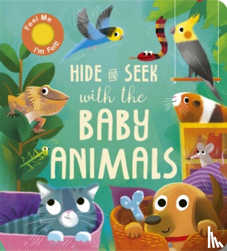 Littleboy, Molly - Hide and Seek with the Baby Animals