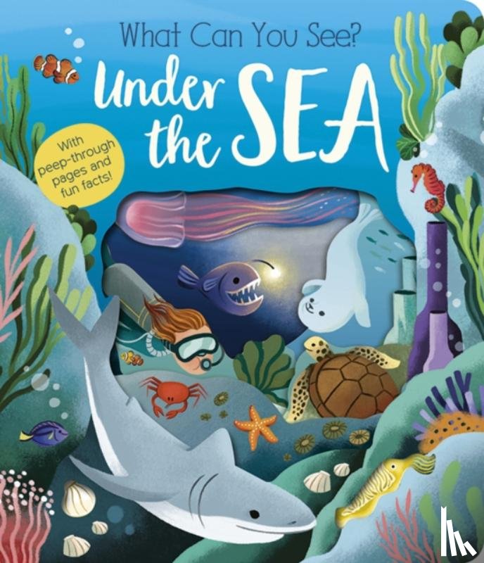 Littleboy, Molly - What Can You See? Under the Sea