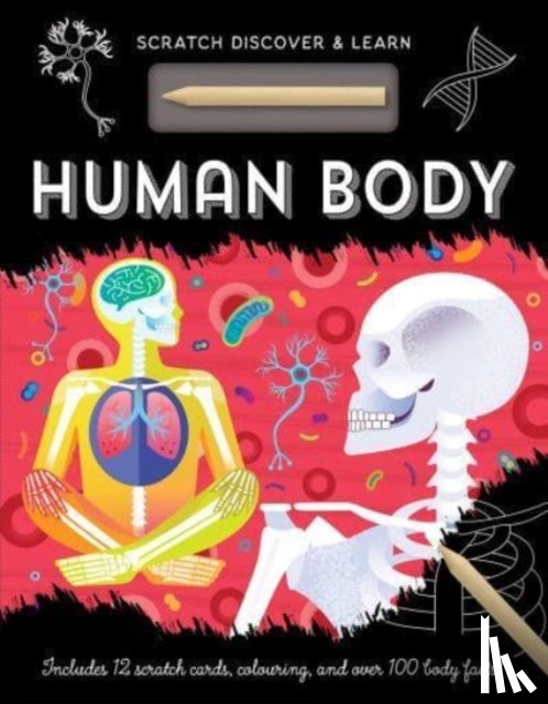Mayes, Susan - Human Body