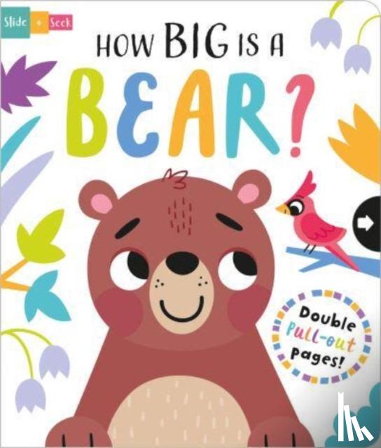 Regan, Lisa - How Big is a Bear?
