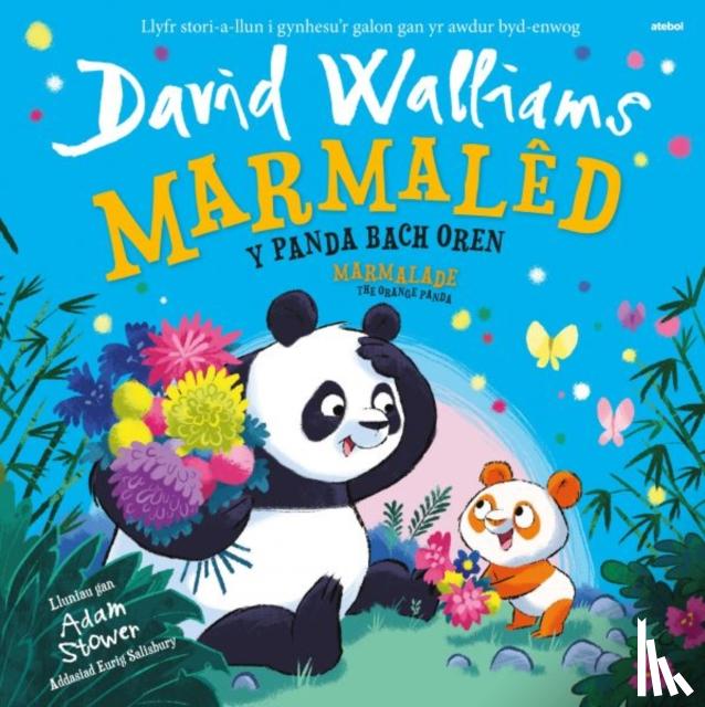 Walliams, David - Marmaled - Y Panda Bach Oren / Marmalade - The Orange Panda