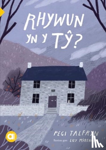 Talfryn, Pegi - Cyfres Amdani: Rhywun yn y Ty?