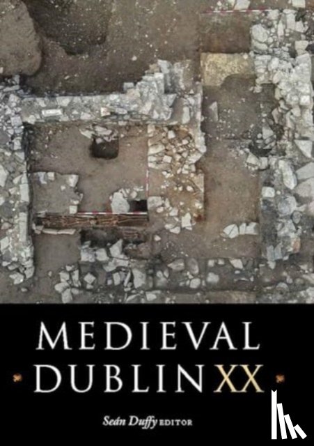 - Medieval Dublin XX