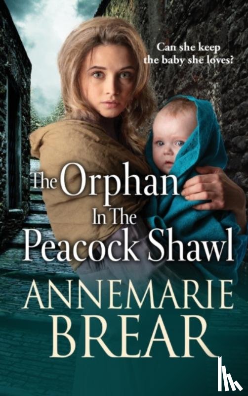 AnneMarie Brear - The Orphan in the Peacock Shawl