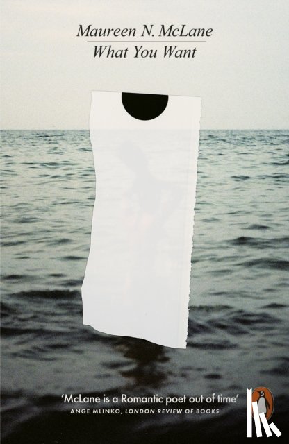 McLane, Maureen N. - What You Want