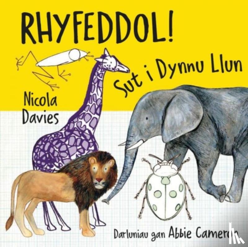 Davies, Nicola - Rhyfeddol! Sut i Dynnu Llun