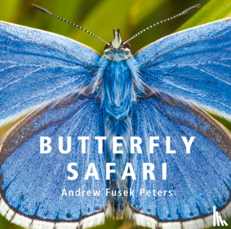 Peters, Andrew Fusek - Butterfly Safari