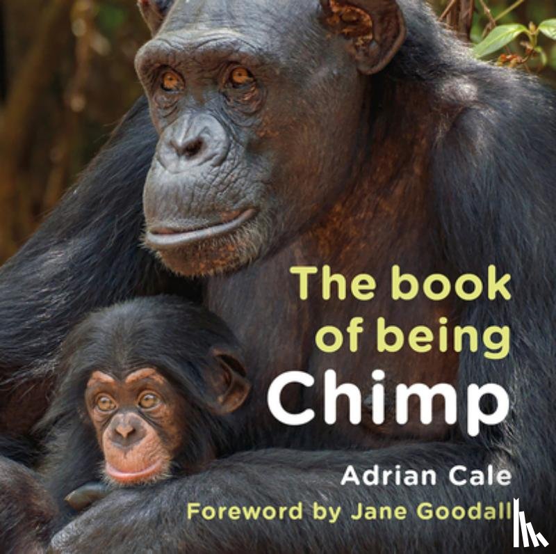 Cale, Adrian - The Book of Being Chimp