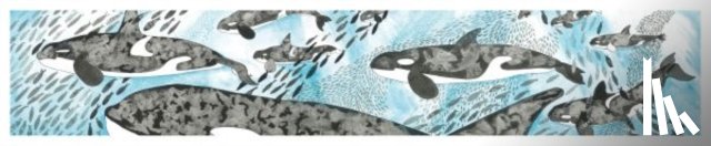 Davies, Nicola - Orcas Card