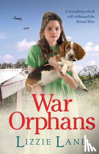Lizzie Lane - War Orphans