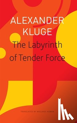 Kluge, Alexander, Hoban, Wieland - The Labyrinth of Tender Force – 166 Love Stories