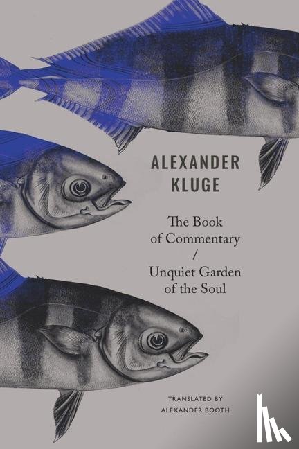 Kluge, Alexander, Booth, Alexander - The Book of Commentary / Unquiet Garden of the Soul