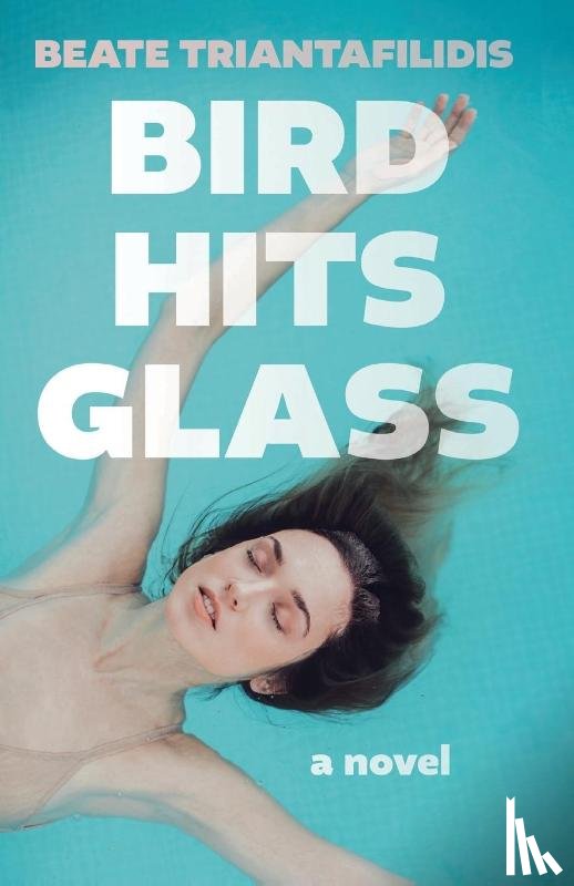 Triantafilidis, Beate - Bird Hits Glass