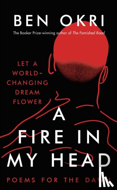 Okri, Ben - A Fire in My Head
