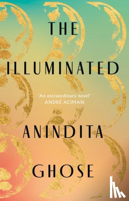 Ghose, Anindita - The Illuminated