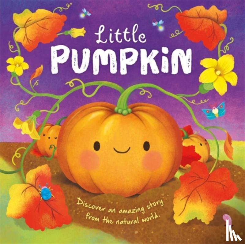 Autumn Publishing - Little Pumpkin